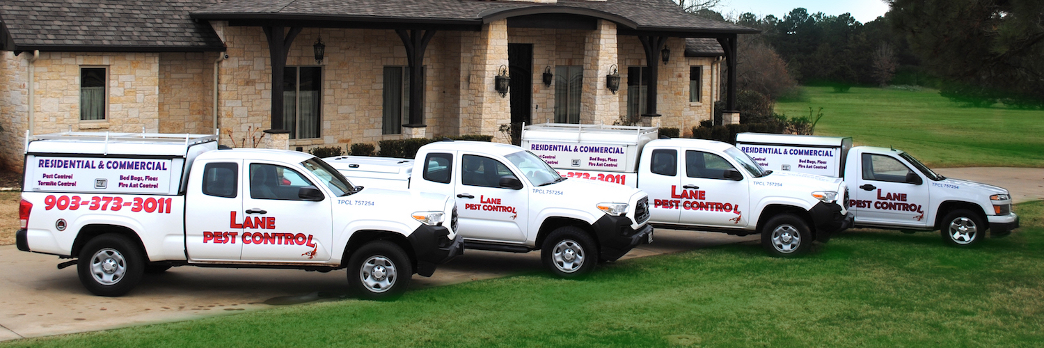 Lane Pest Control Technicians